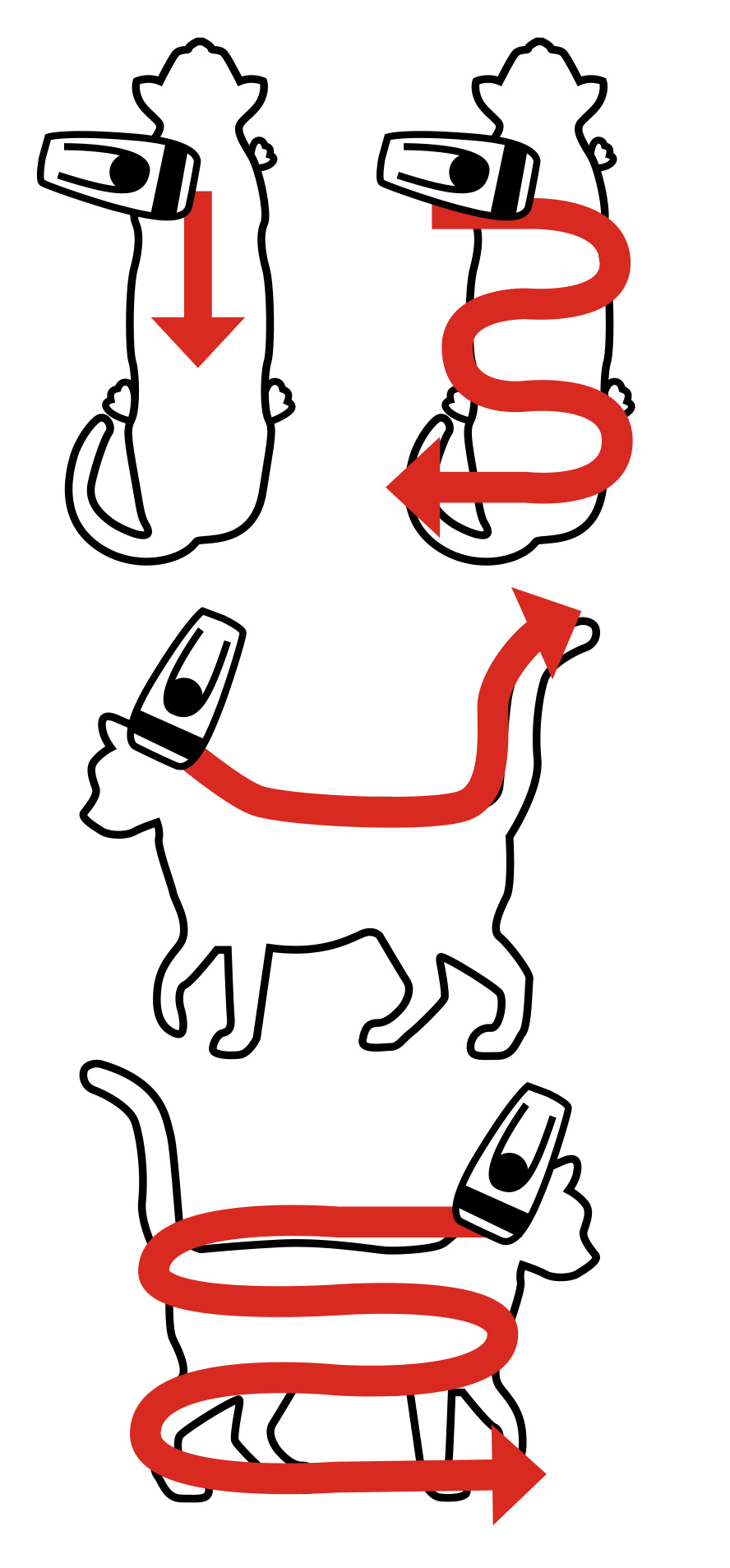 An application scenario or product detail of can you track a chipped cat - Image 21