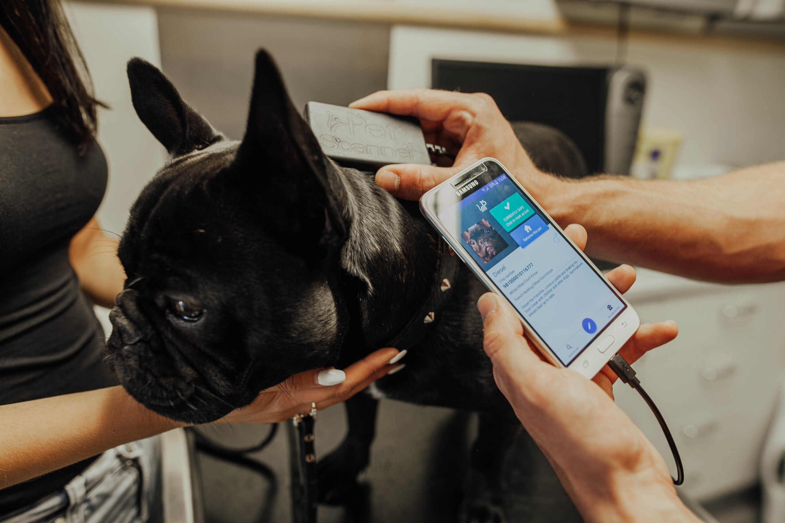 An application scenario or product detail of can you track your dog with a microchip - Image 14