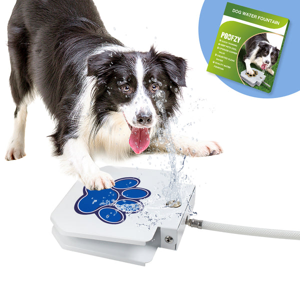 An application scenario or product detail of canine water fountain - Image 2