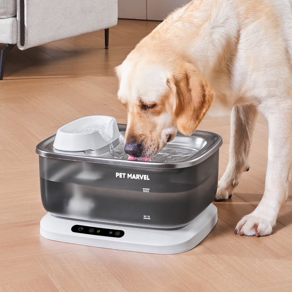 An application scenario or product detail of canine water fountain - Image 11