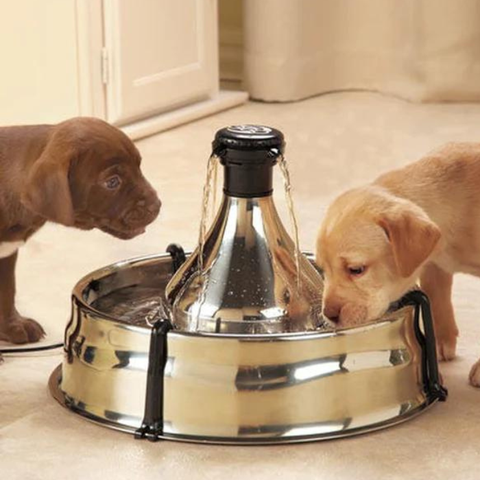 An application scenario or product detail of canine water fountain - Image 18