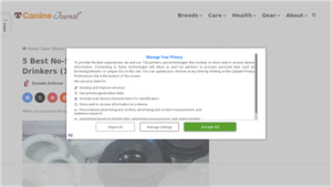 Ray Allen - K9 Buddy Bowl