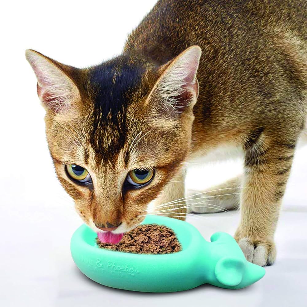 Featured image for the canned cat food feeder guide