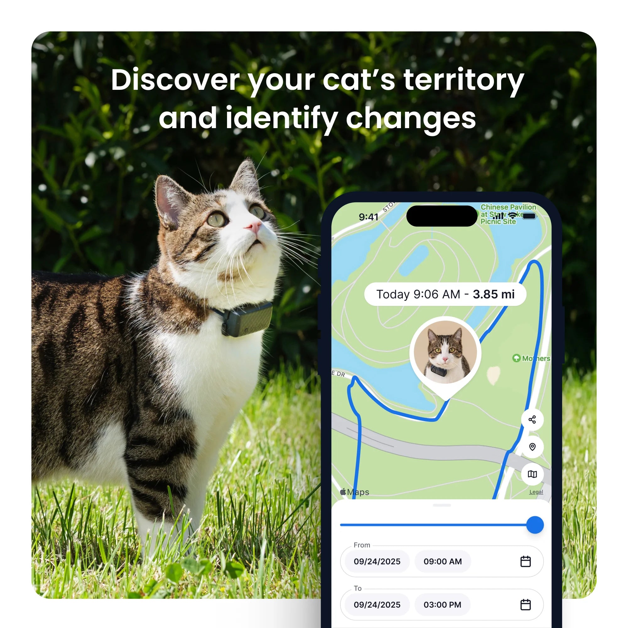 An application scenario or product detail of cat activity tracker - Image 9