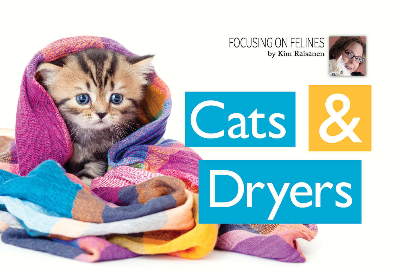 An application scenario or product detail of cat and blow dryer - Image 8