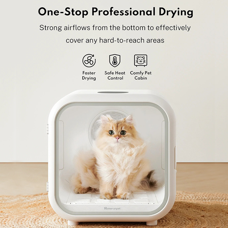 An application scenario or product detail of cat and blow dryer - Image 18