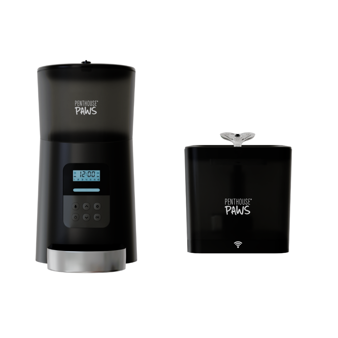 An application scenario or product detail of cat automatic water feeder - Image 12