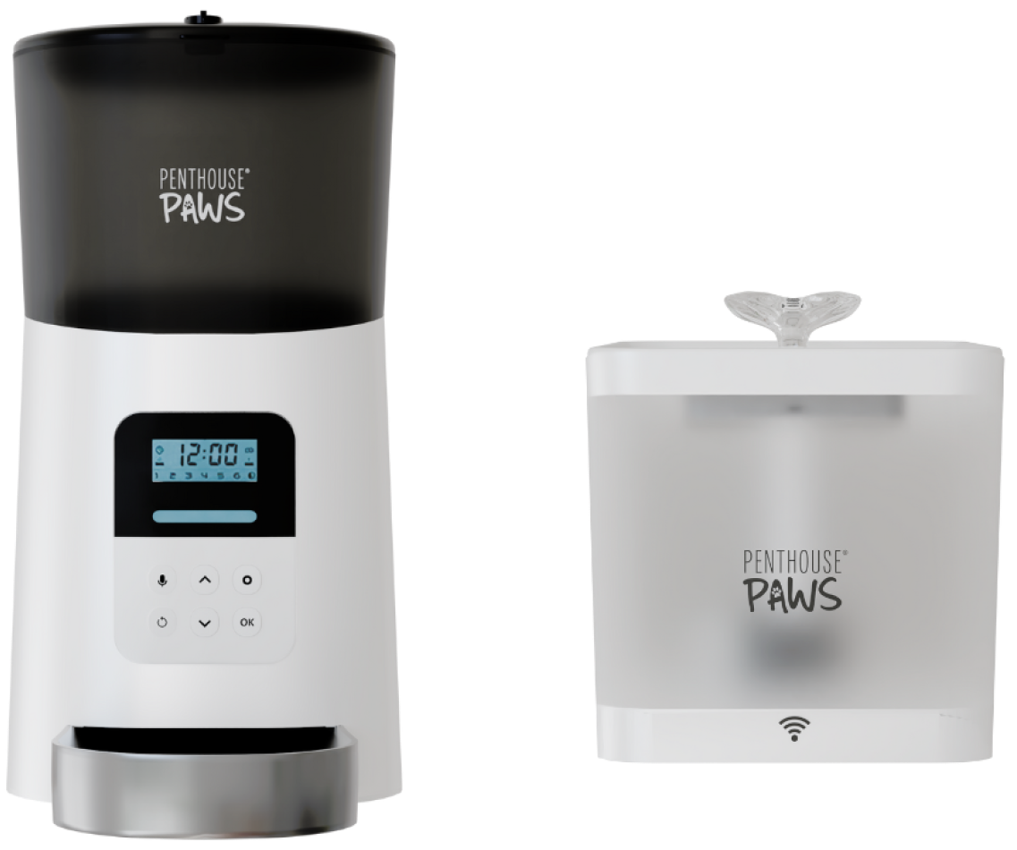 An application scenario or product detail of cat automatic water feeder - Image 17