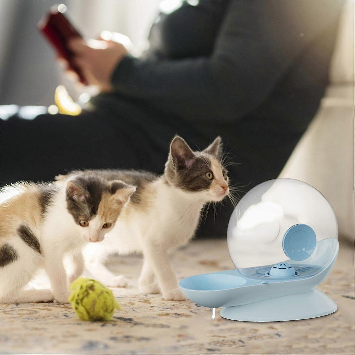 An application scenario or product detail of cat bowl water fountain - Image 17