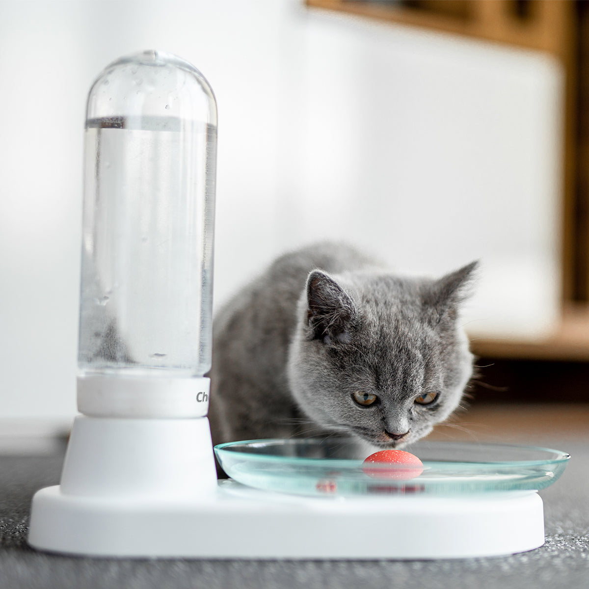 An application scenario or product detail of cat bowl with running water - Image 9