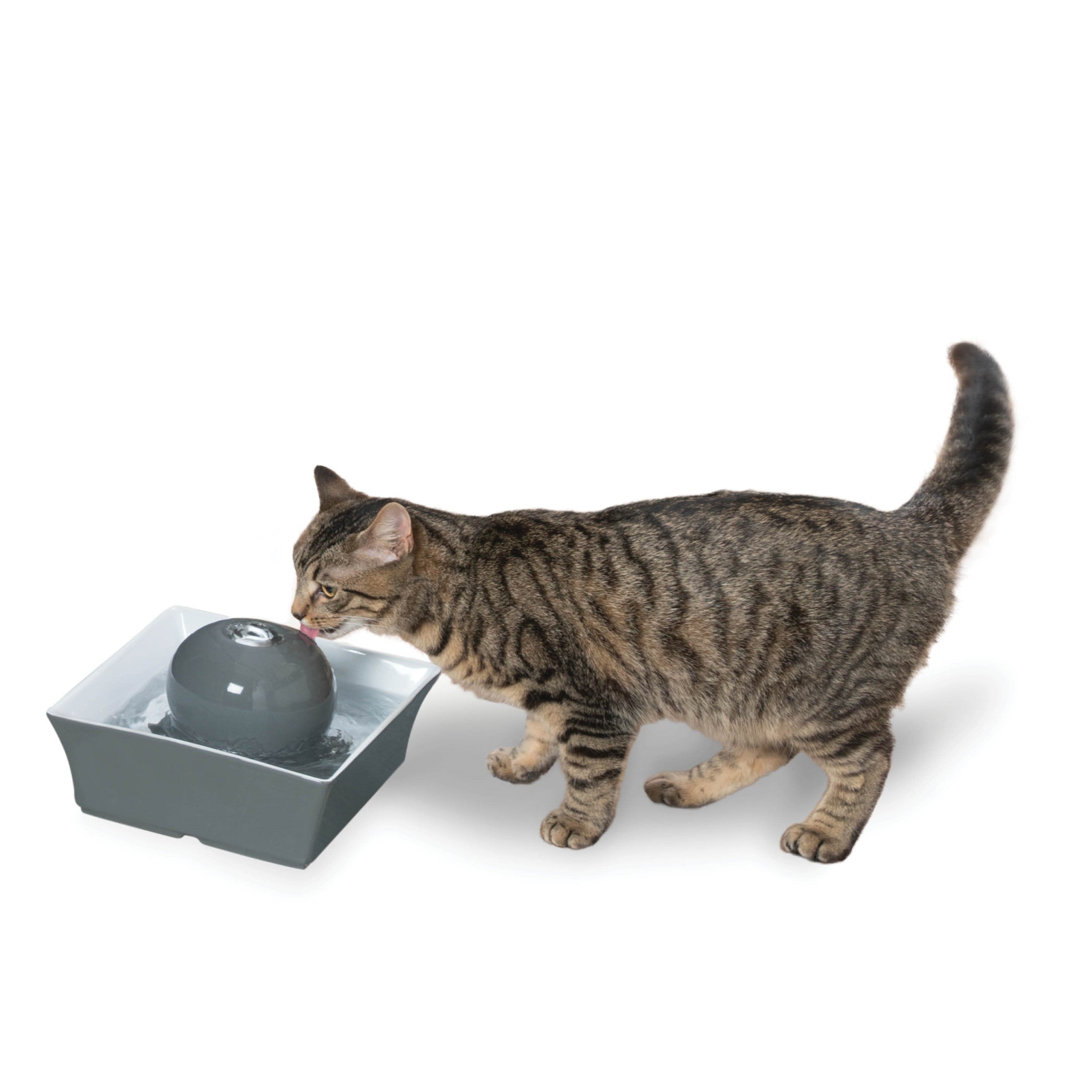 An application scenario or product detail of cat ceramic drinking fountain - Image 3