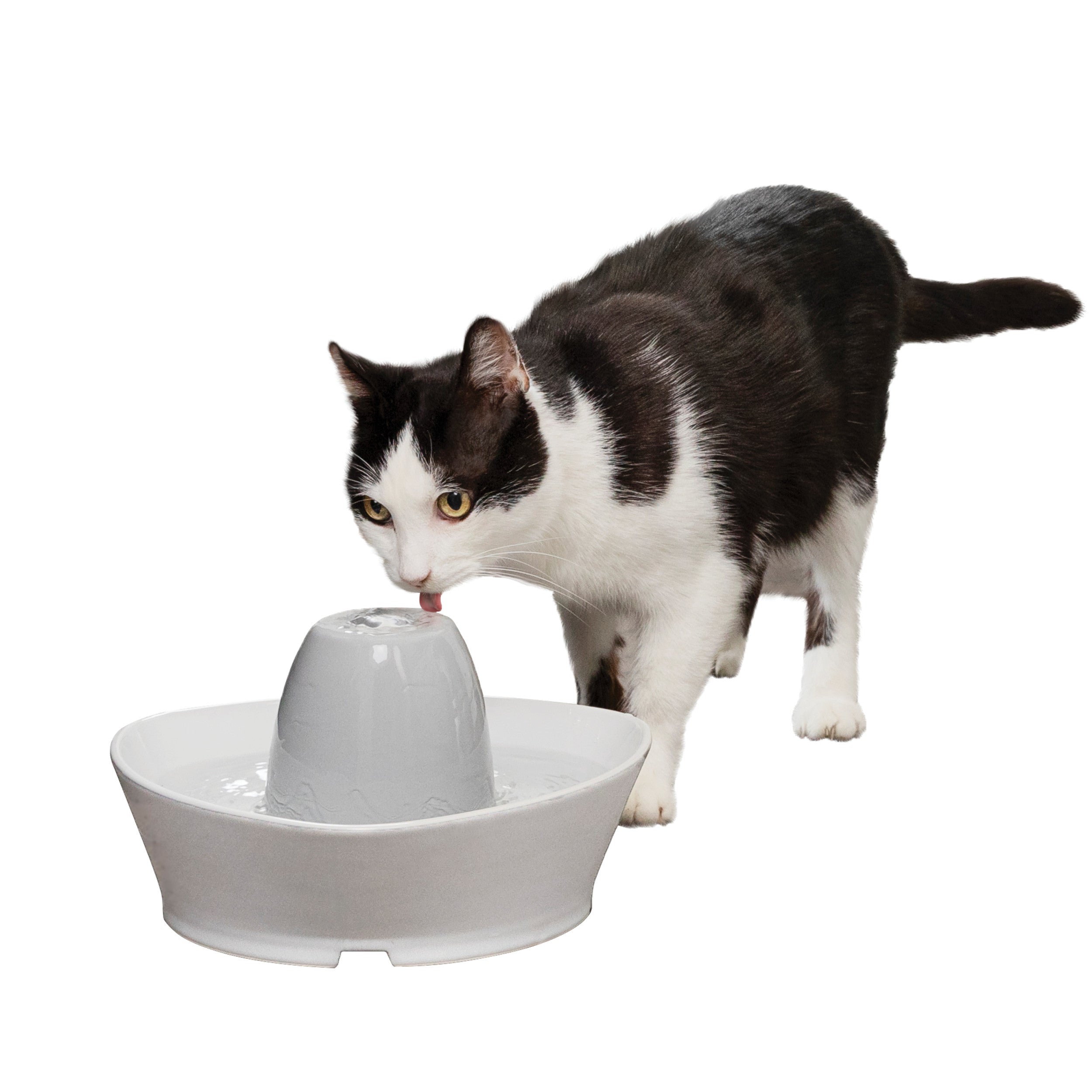 An application scenario or product detail of cat ceramic drinking fountain - Image 7