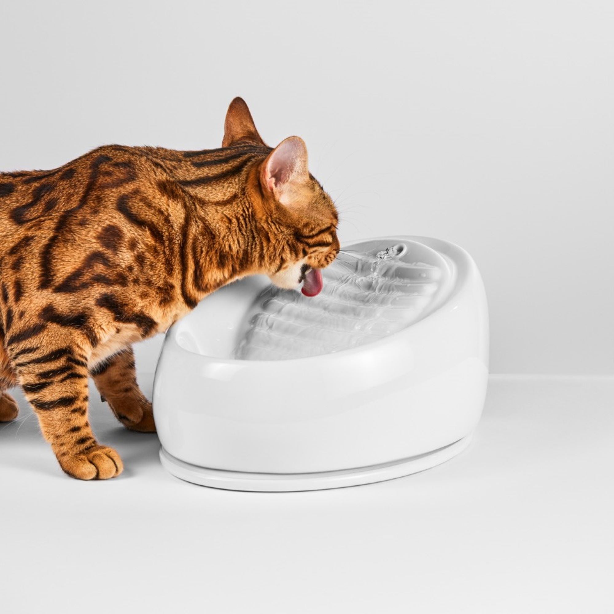 An application scenario or product detail of cat ceramic fountain - Image 9