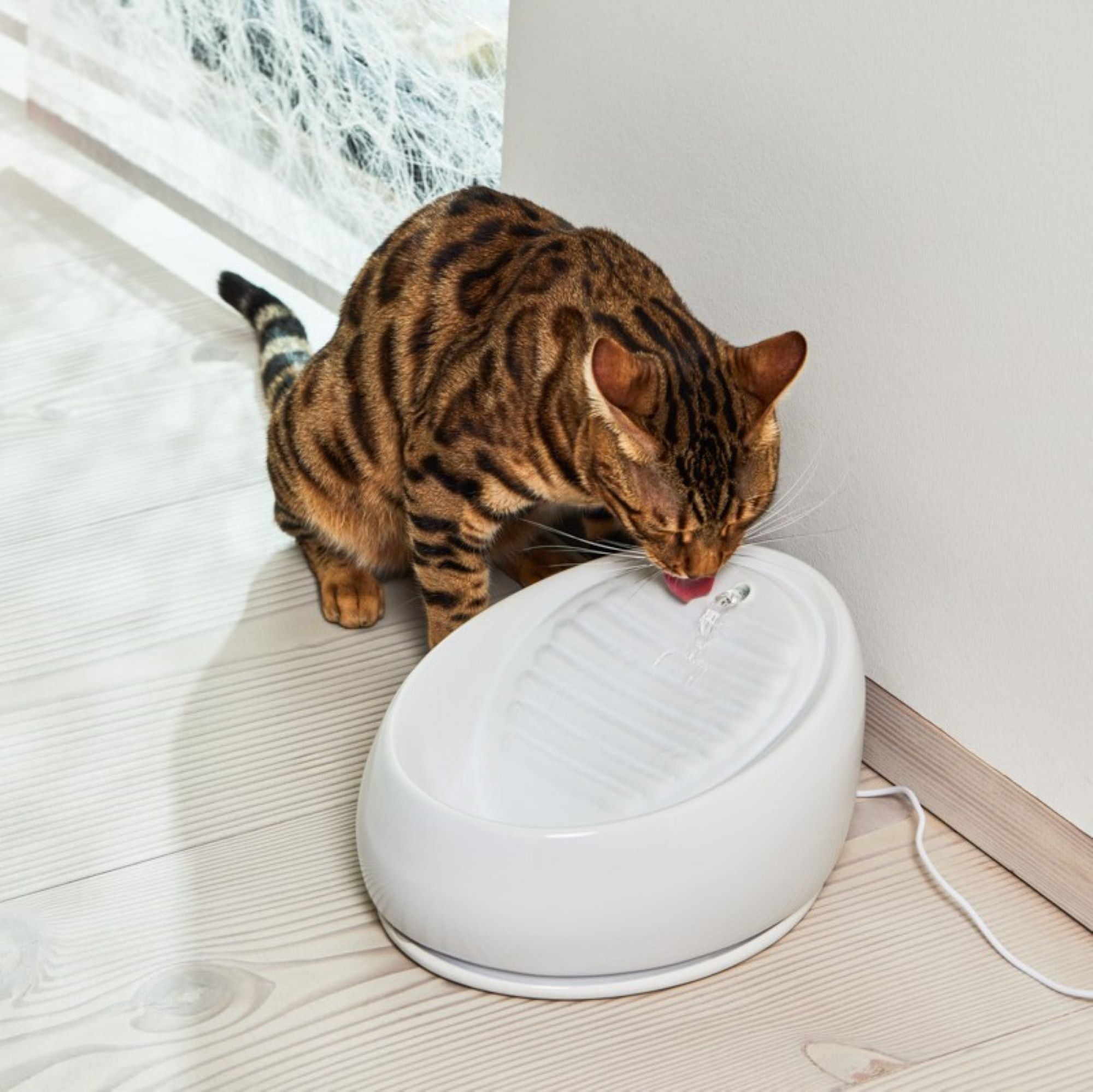 An application scenario or product detail of cat ceramic fountain - Image 11