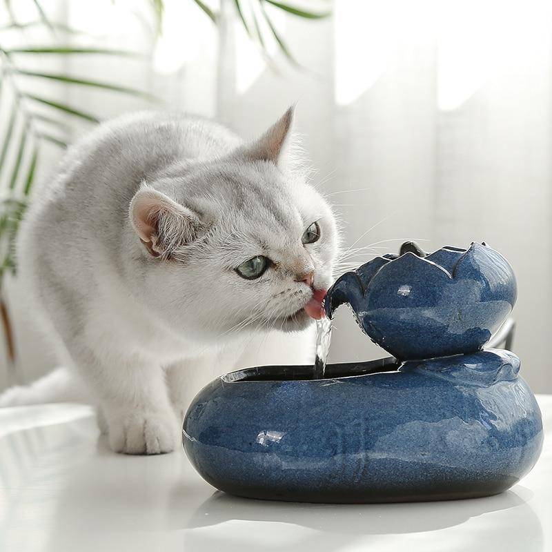 Featured image for the cat ceramic fountain guide
