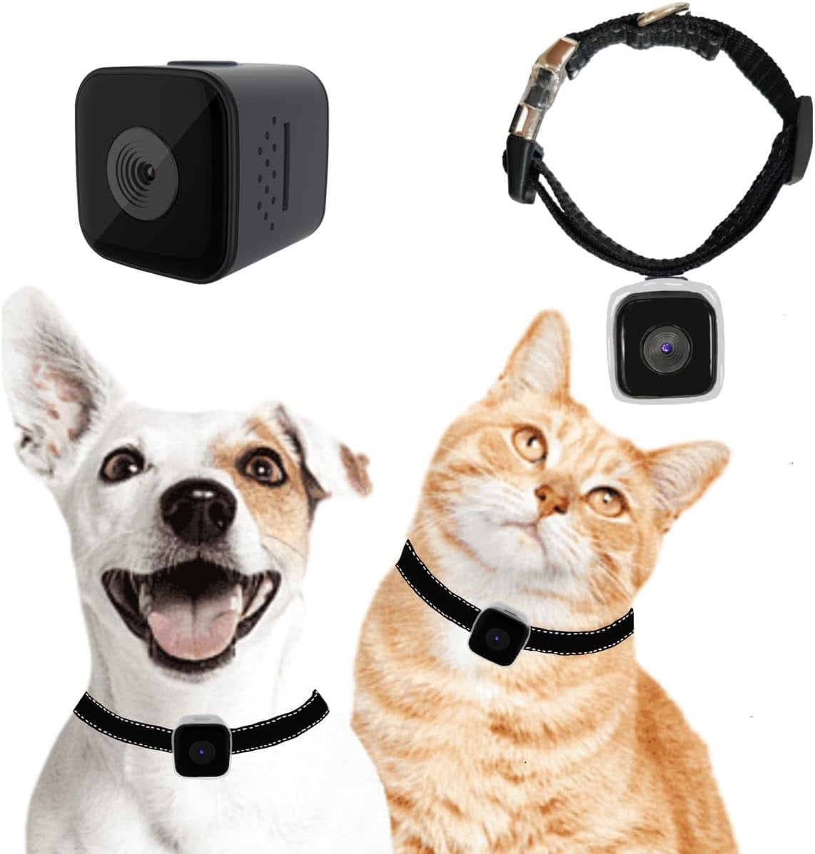 An application scenario or product detail of cat collar camera gps - Image 12