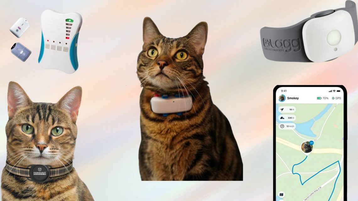 An application scenario or product detail of cat collar camera gps - Image 13