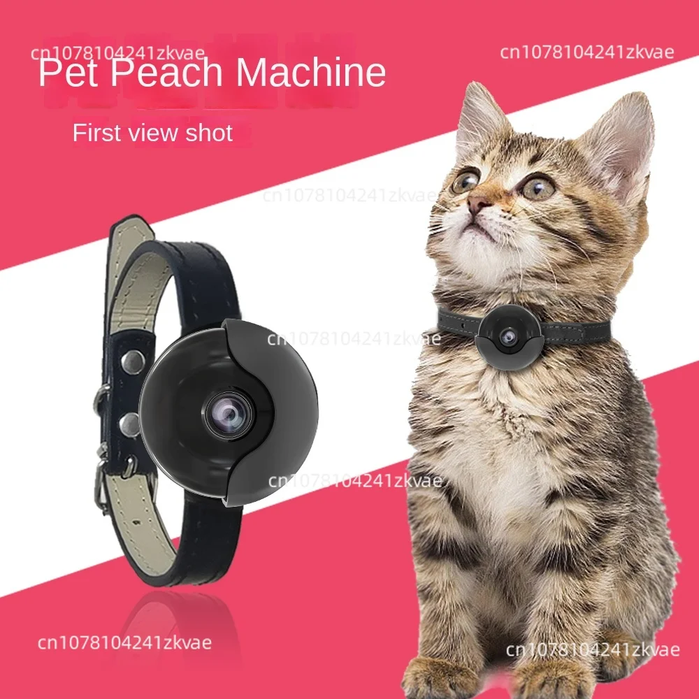An application scenario or product detail of cat collar camera gps - Image 15