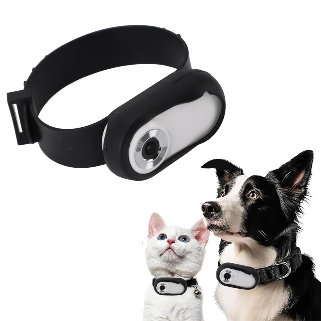 Featured image for the cat collar camera gps guide