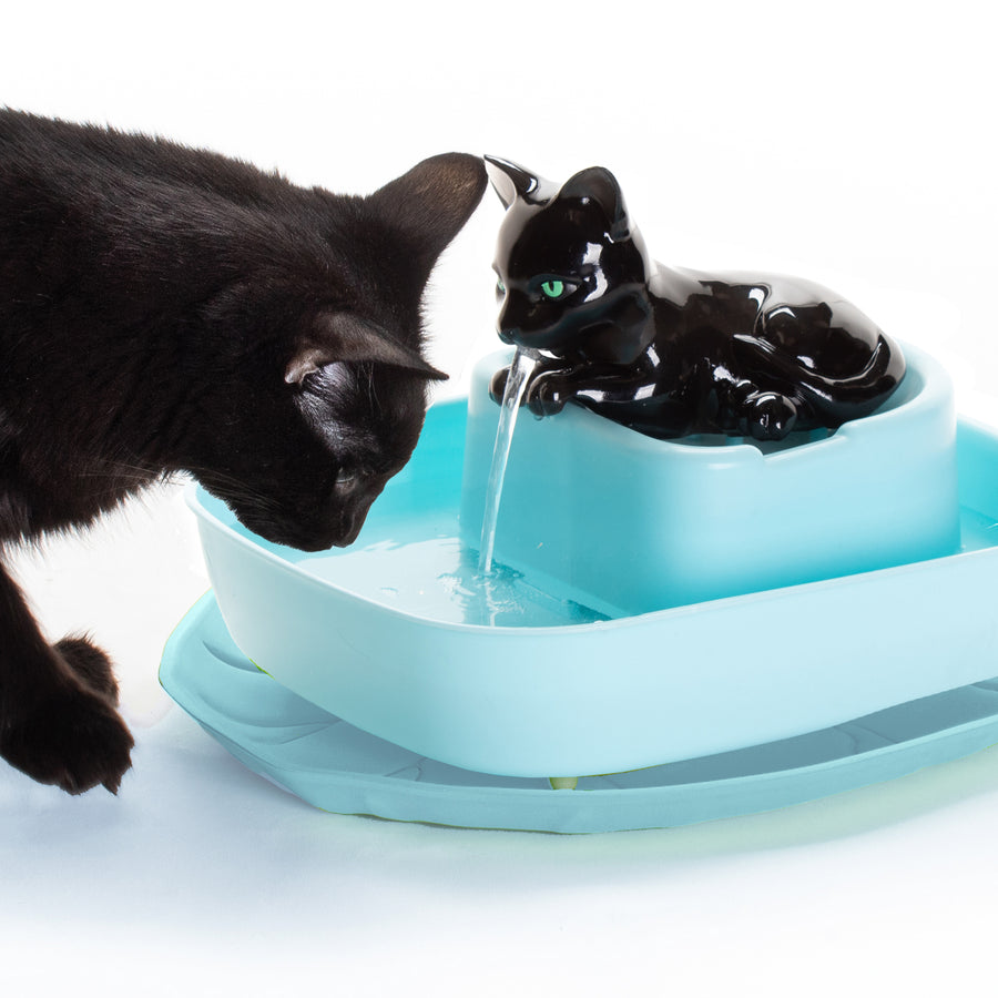 An application scenario or product detail of cat drink fountains - Image 19