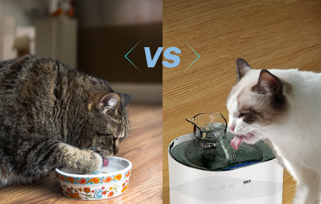 An application scenario or product detail of cat drinking bowl fountain - Image 10