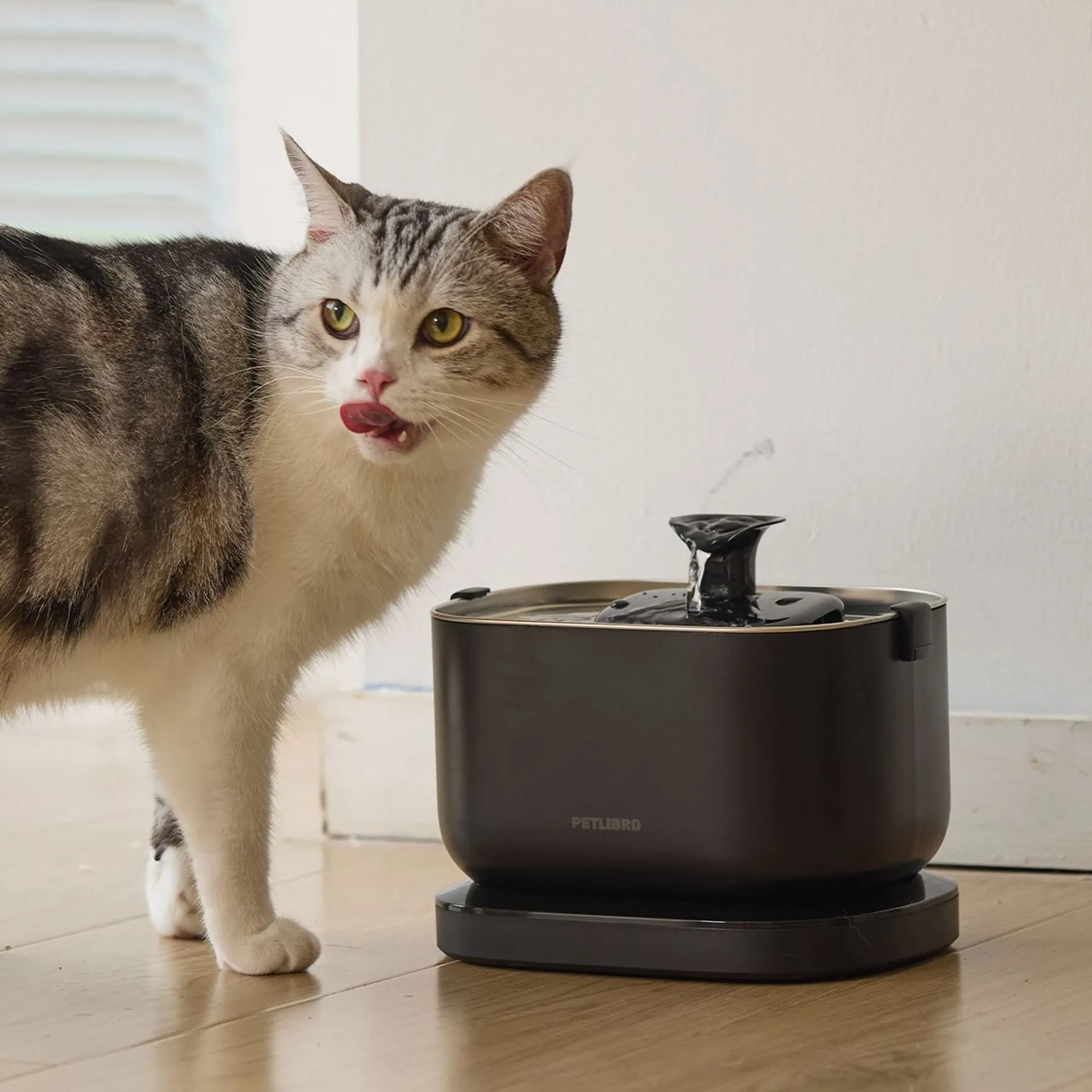 An application scenario or product detail of cat drinking fountain battery - Image 7