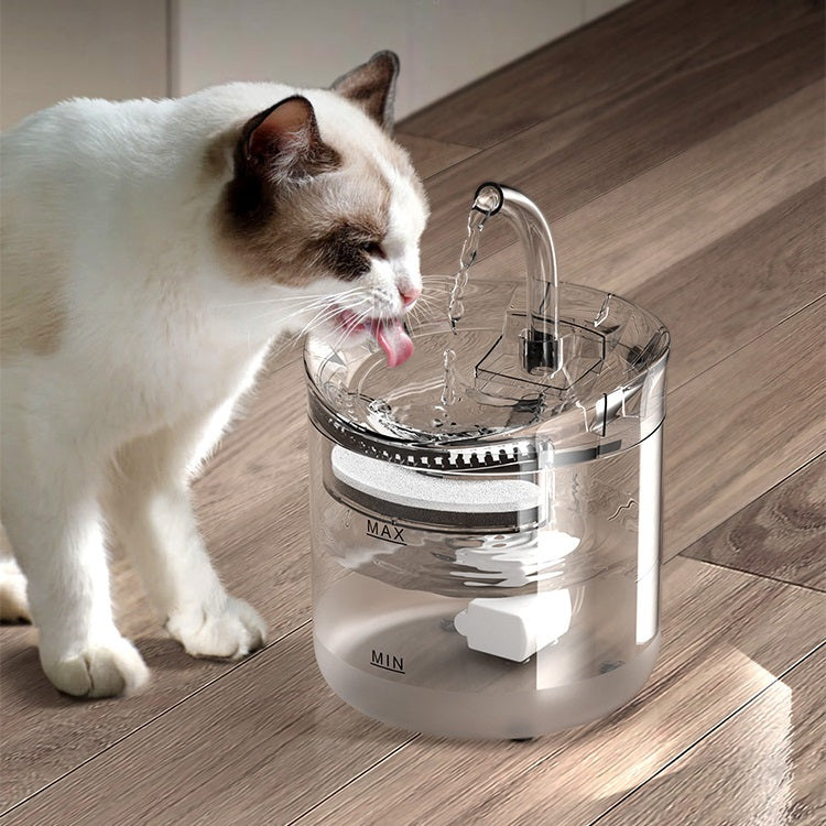 An application scenario or product detail of cat drinking fountains - Image 4