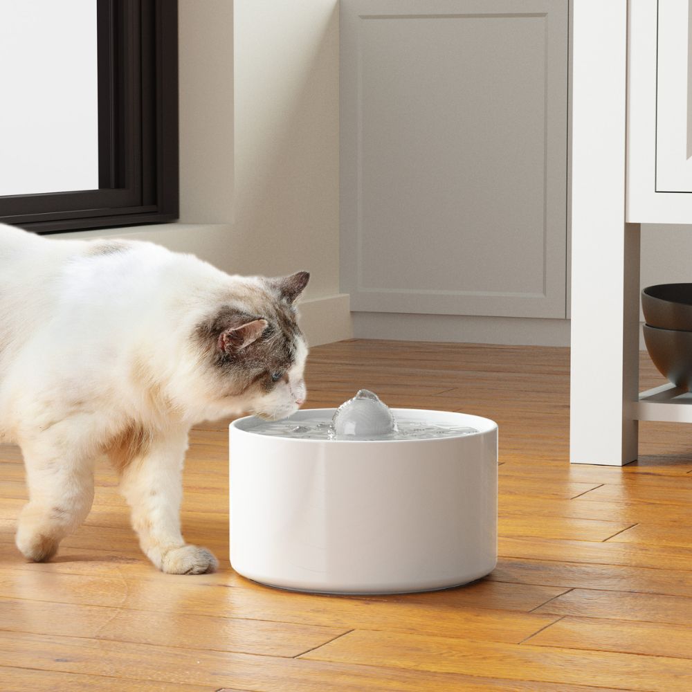 An application scenario or product detail of cat drinking fountains - Image 17