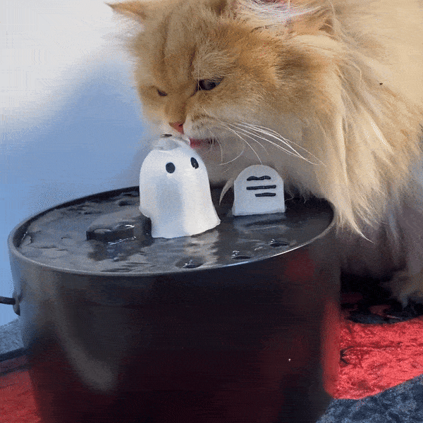 An application scenario or product detail of cat drinking from fountain - Image 12