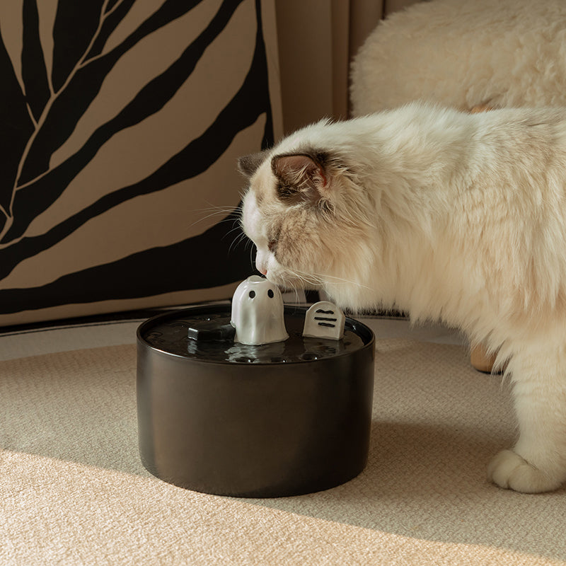 An application scenario or product detail of cat drinking from fountain - Image 14