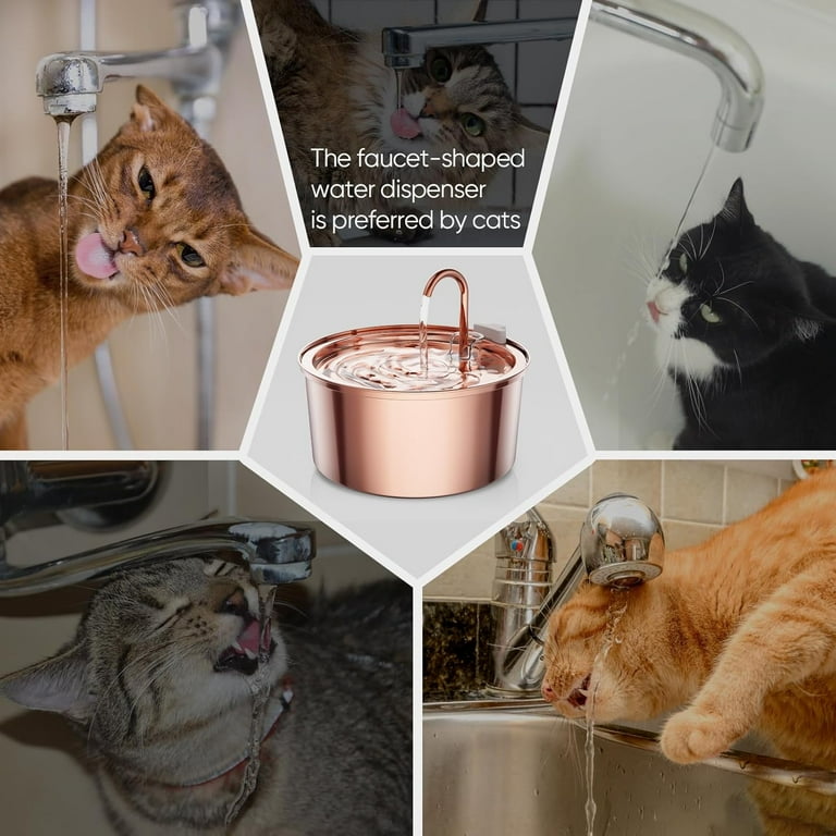 An application scenario or product detail of cat drinking from fountain - Image 20