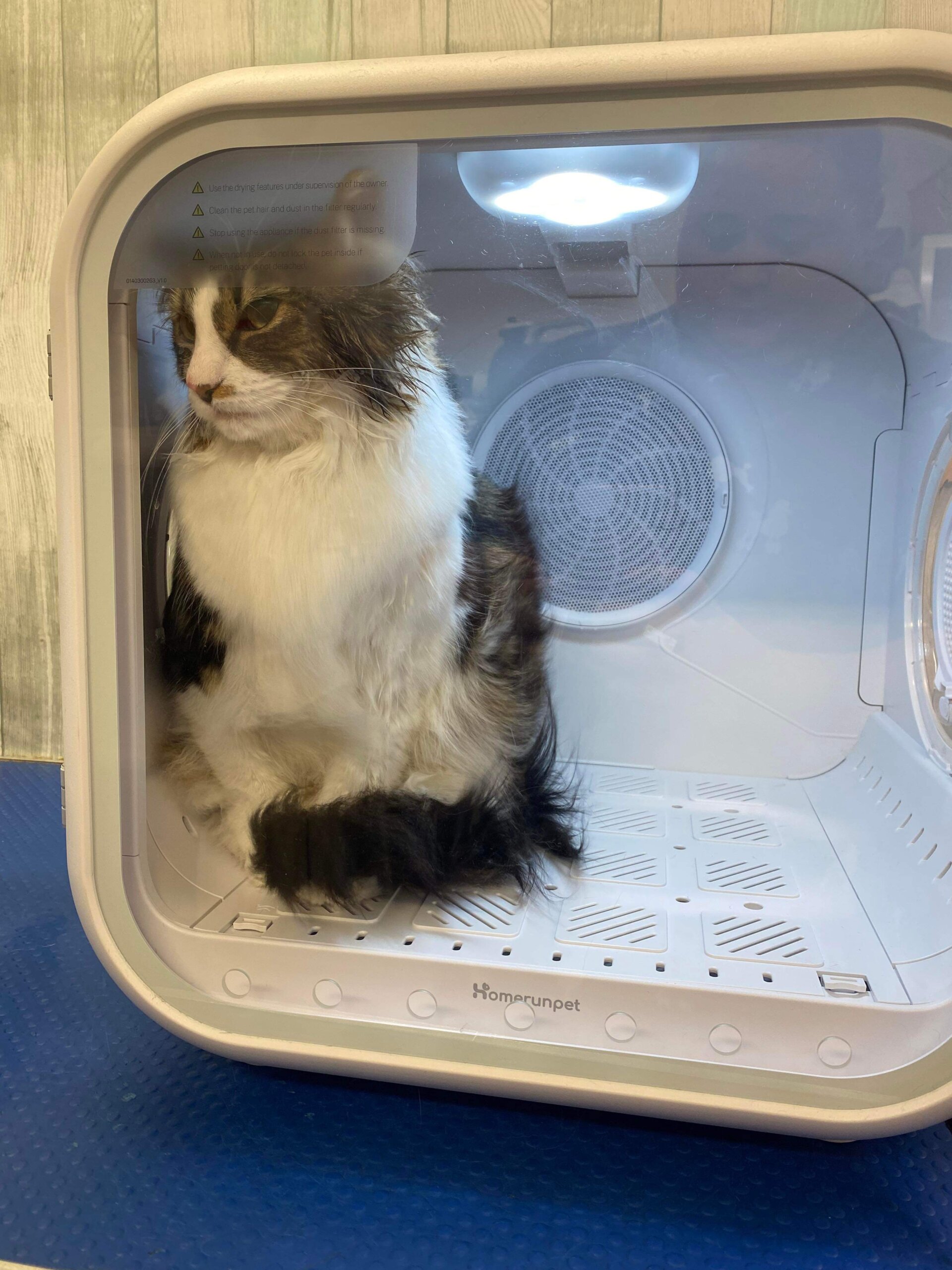 An application scenario or product detail of cat dryer box - Image 4