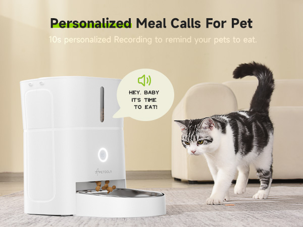 An application scenario or product detail of cat feeder app - Image 4