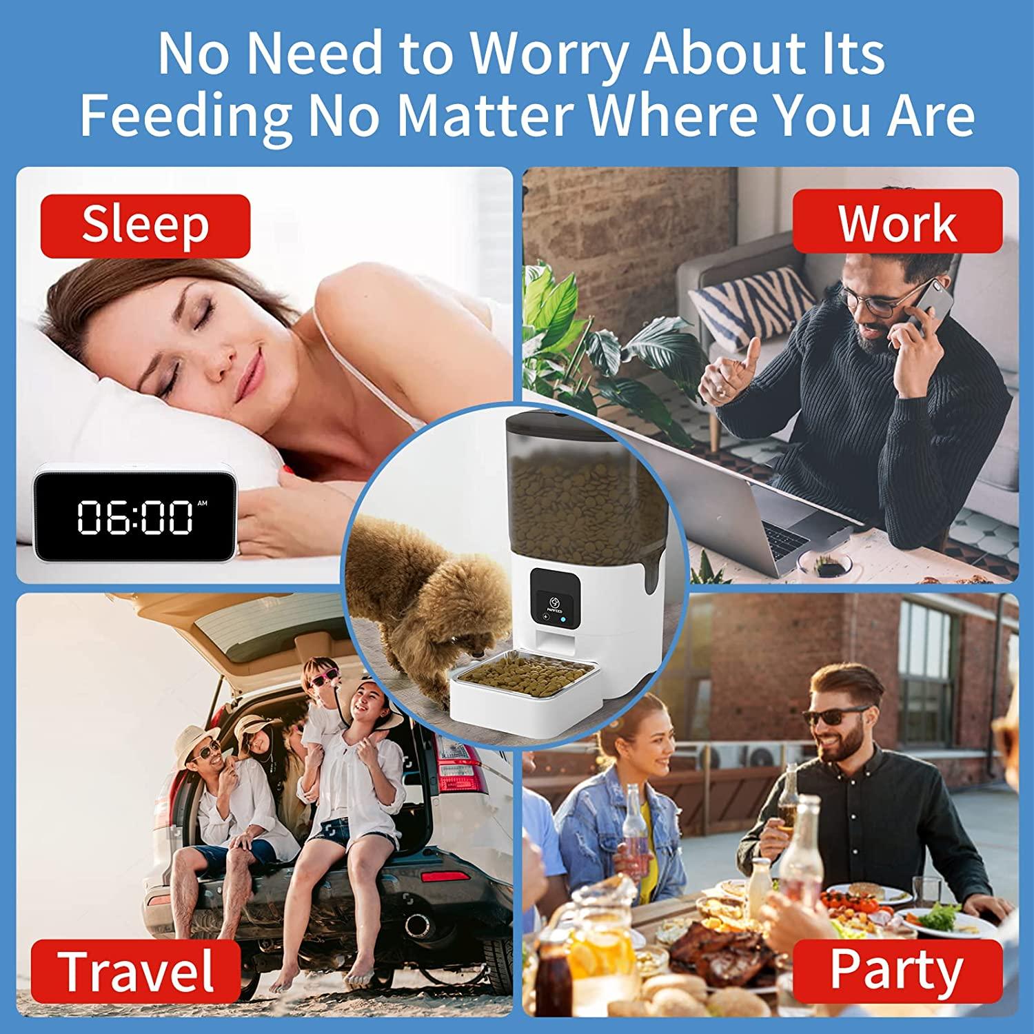 An application scenario or product detail of cat feeder app - Image 16