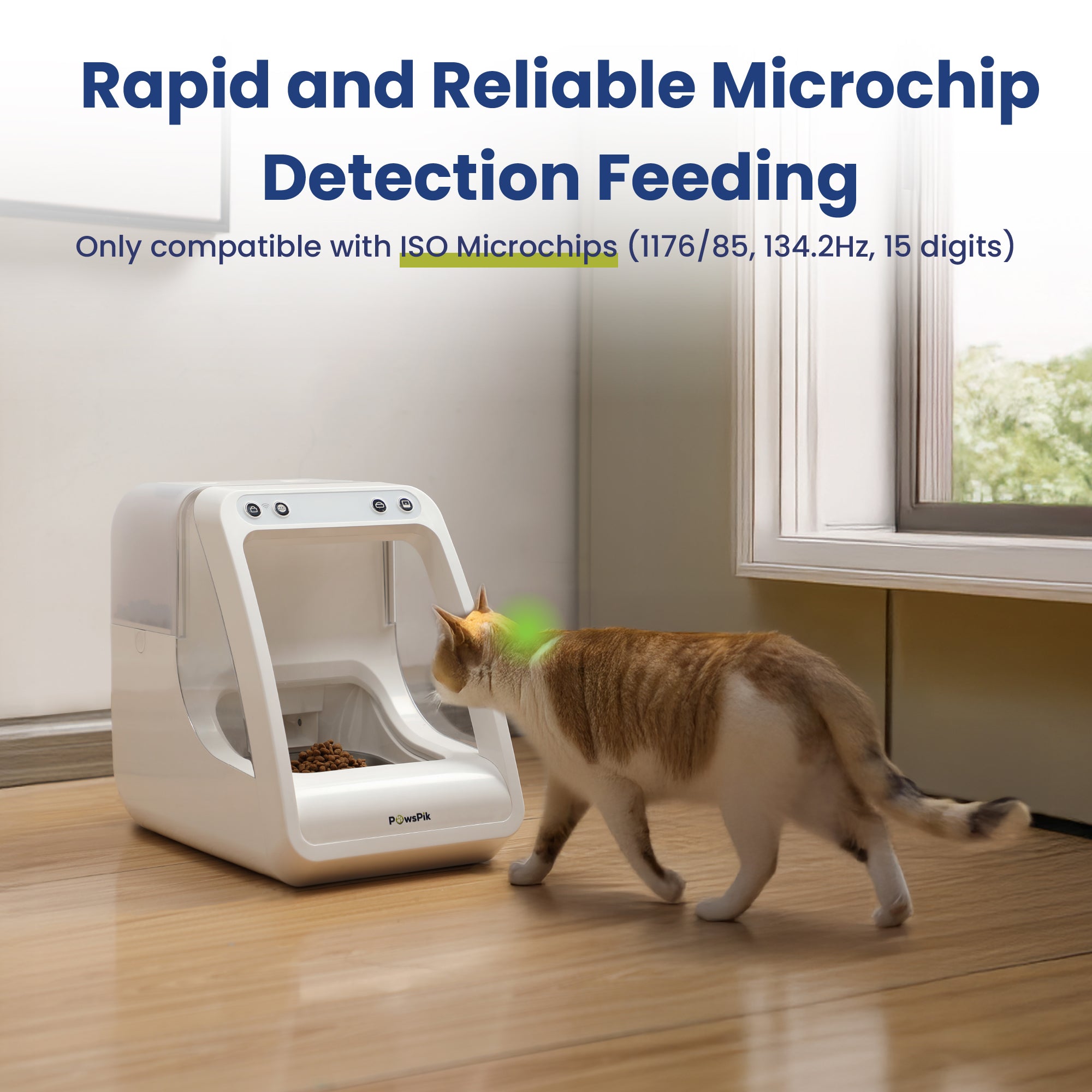 An application scenario or product detail of cat feeder box - Image 7