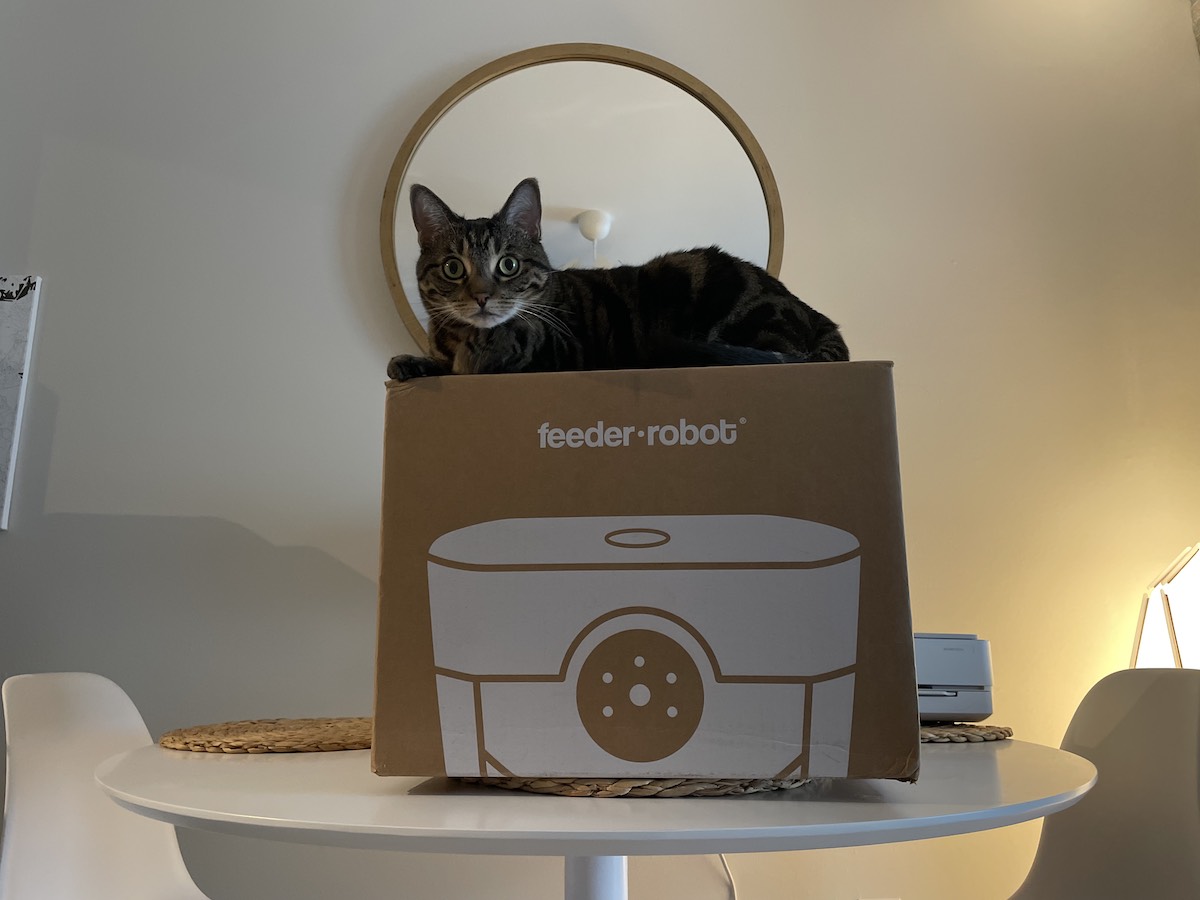 An application scenario or product detail of cat feeder box - Image 22