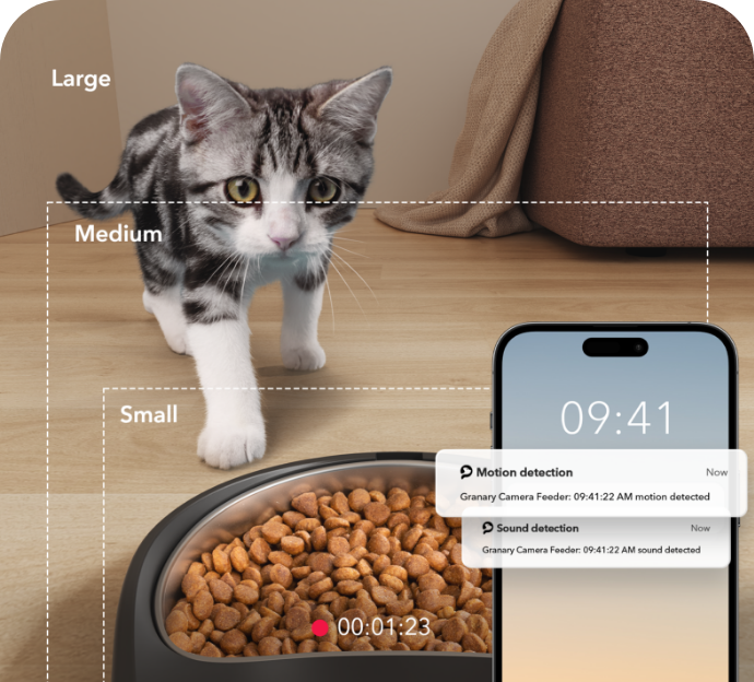 An application scenario or product detail of cat feeder camera - Image 21