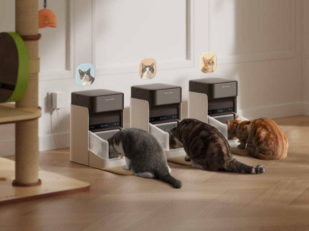 An application scenario or product detail of cat feeder multiple cats - Image 1