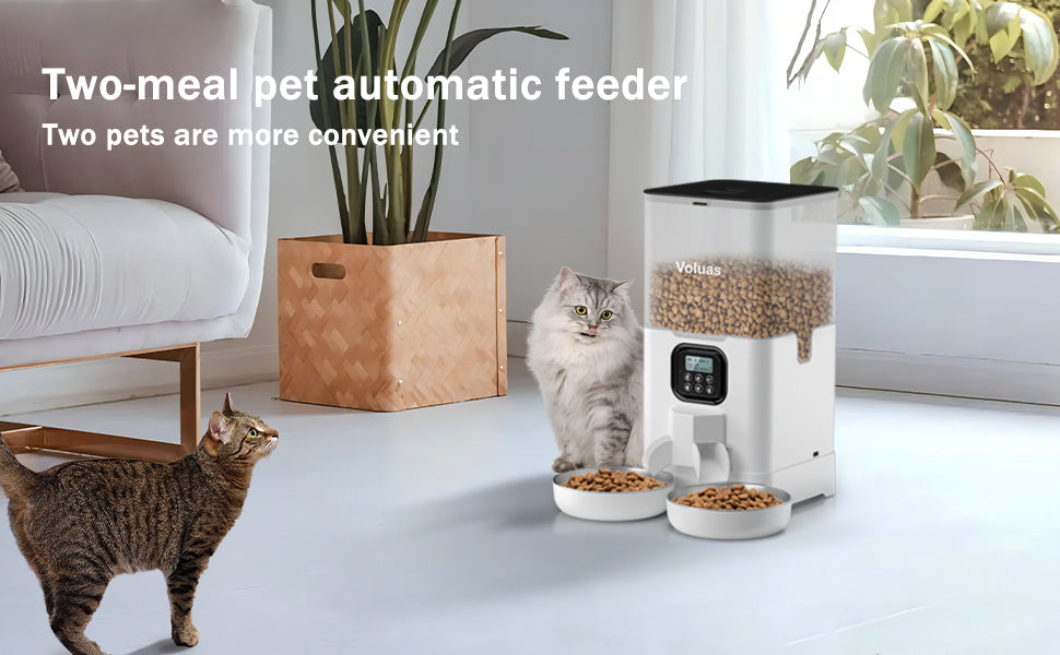 An application scenario or product detail of cat feeder multiple cats - Image 16