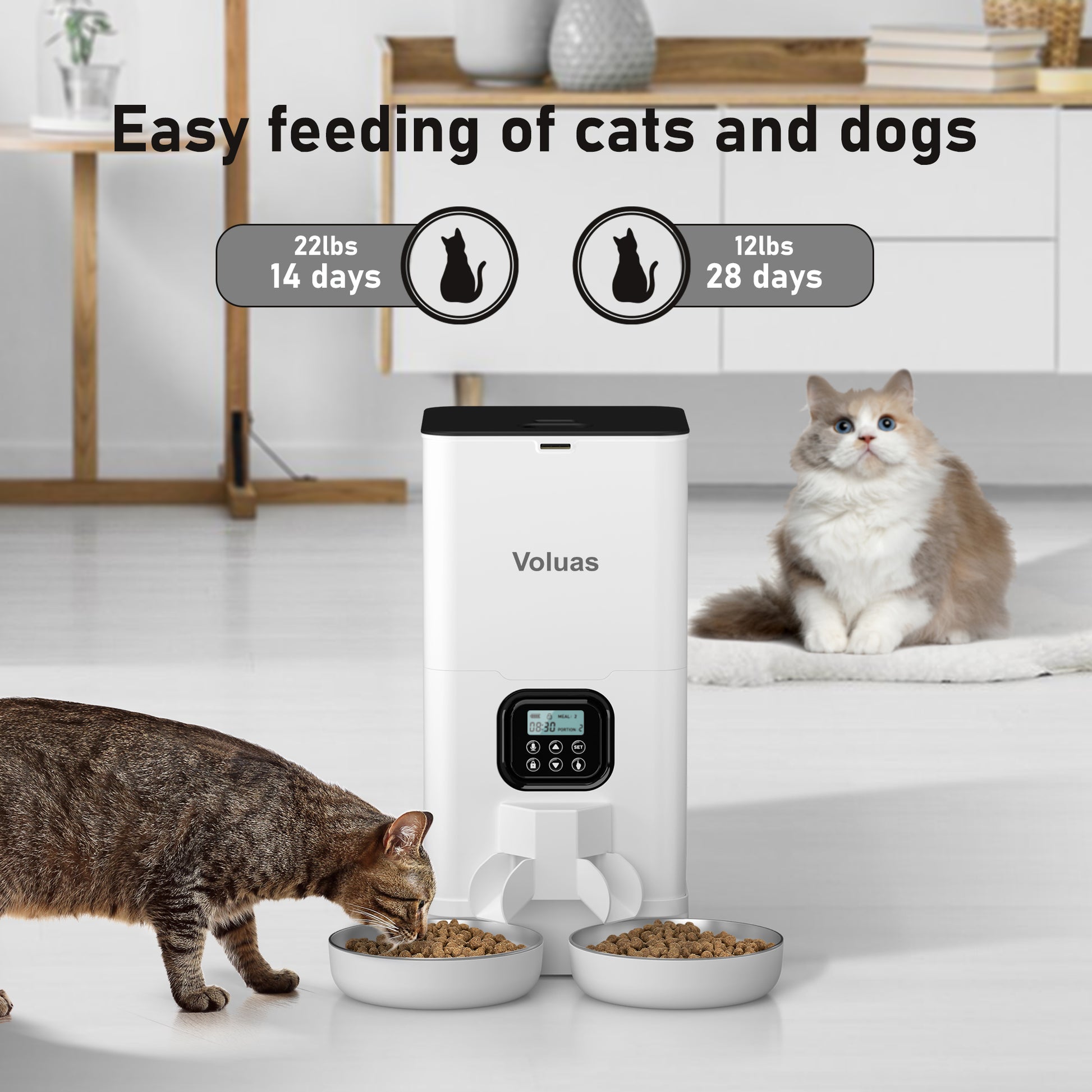An application scenario or product detail of cat feeder multiple cats - Image 18