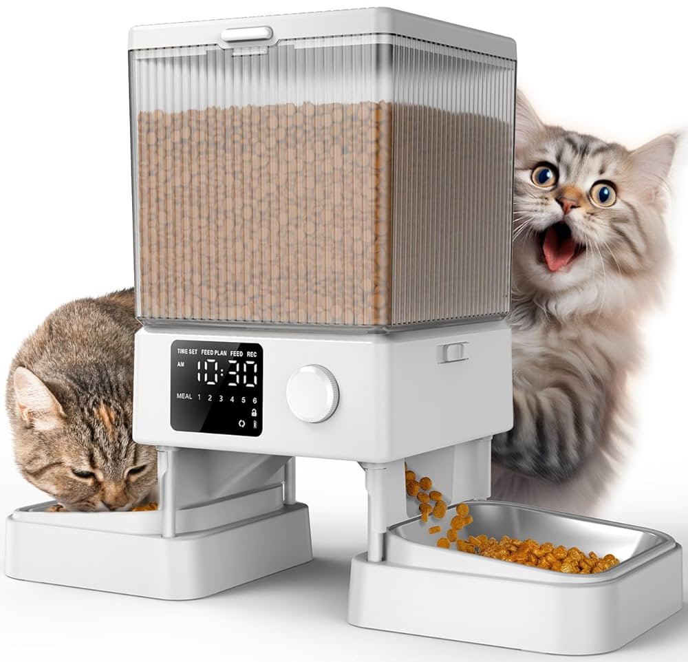 An application scenario or product detail of cat feeder multiple cats - Image 20