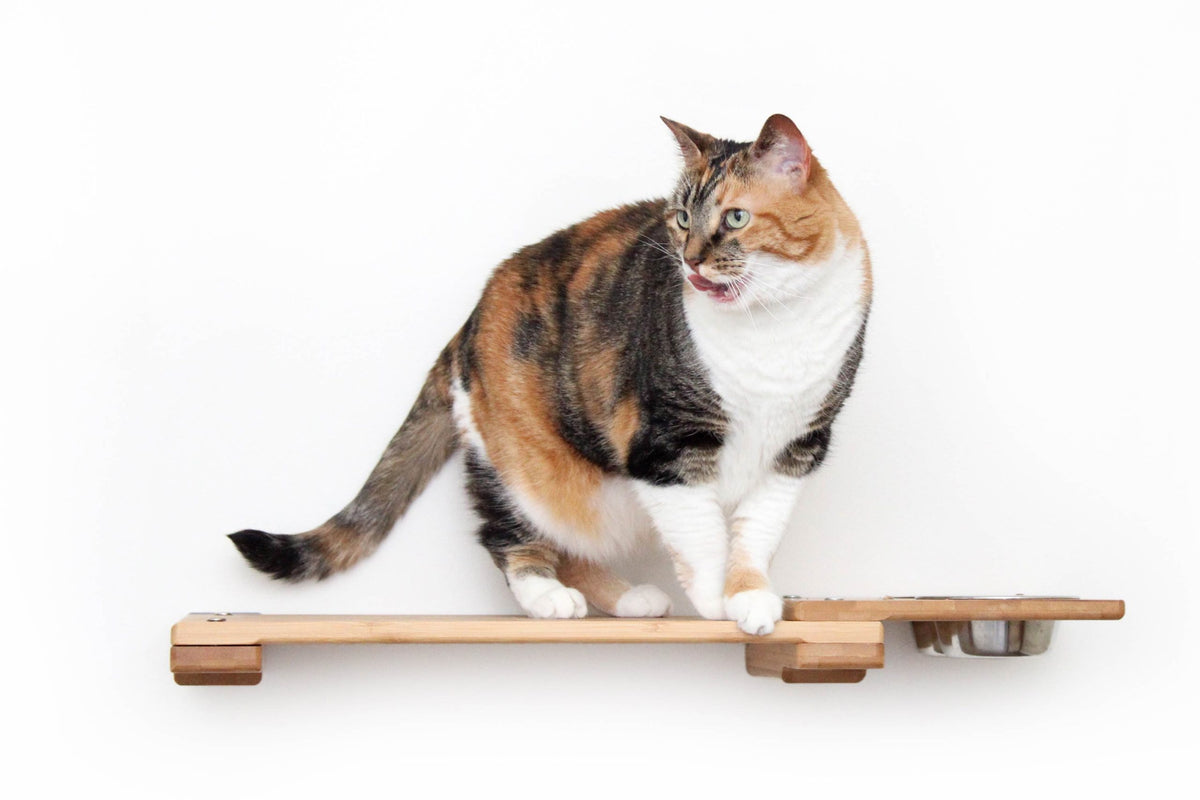 An application scenario or product detail of cat feeder shelf - Image 7