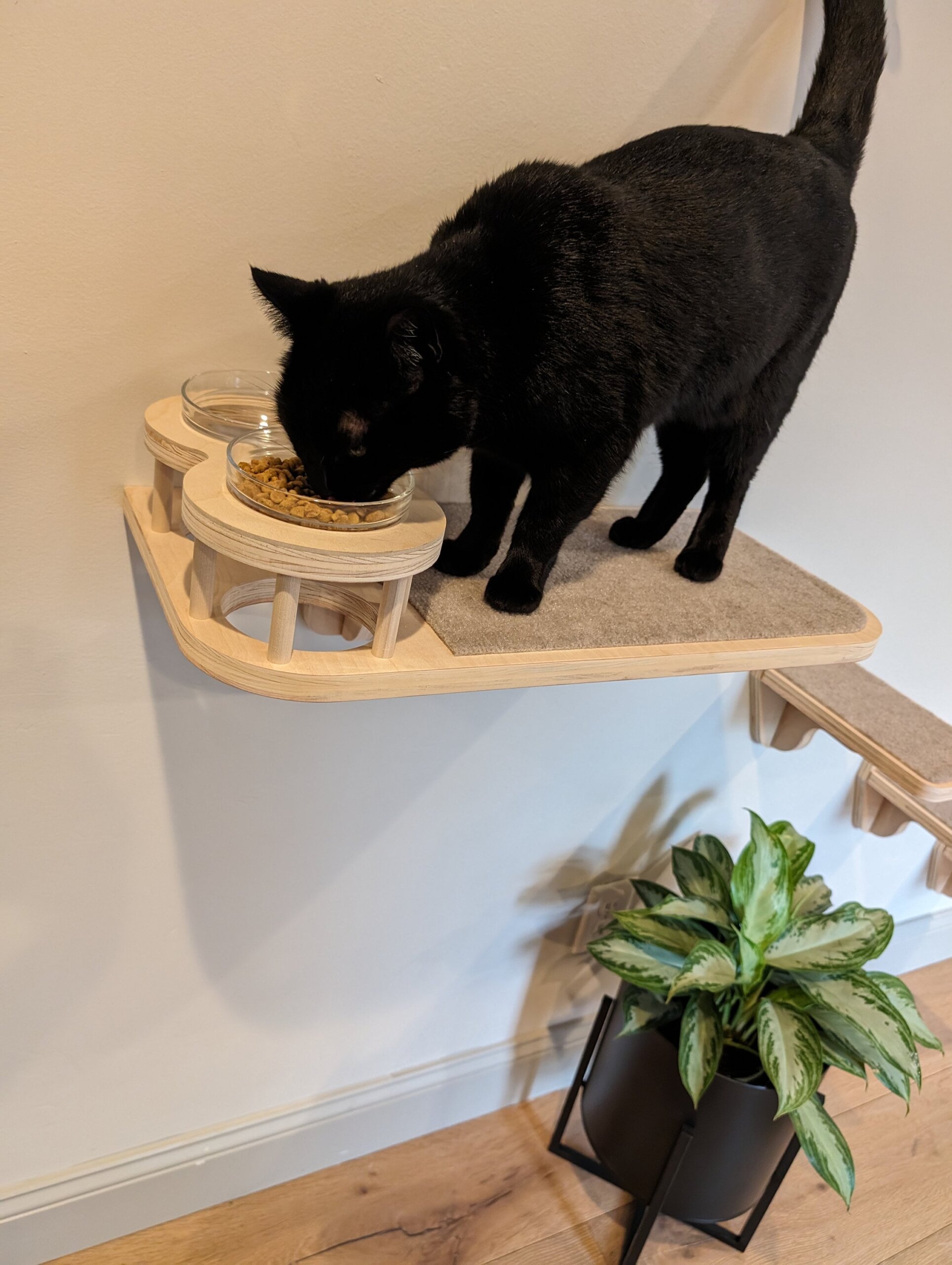 An application scenario or product detail of cat feeder shelf - Image 11
