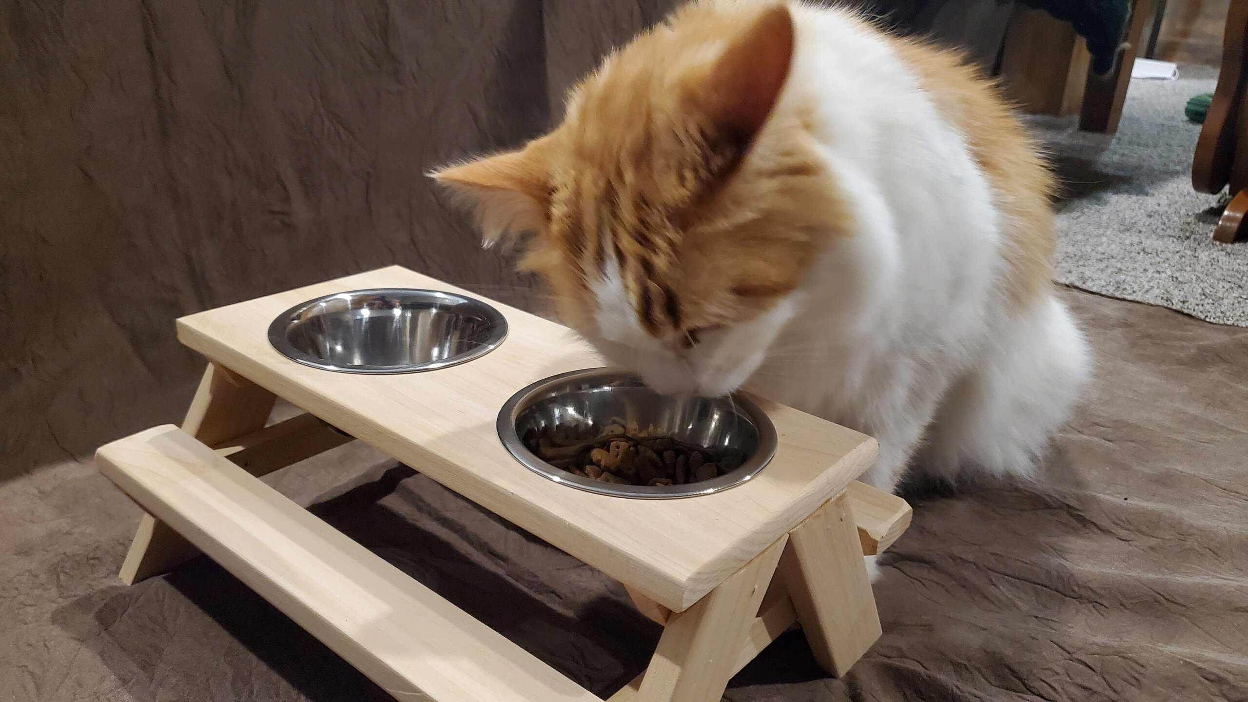 An application scenario or product detail of cat feeder table - Image 2