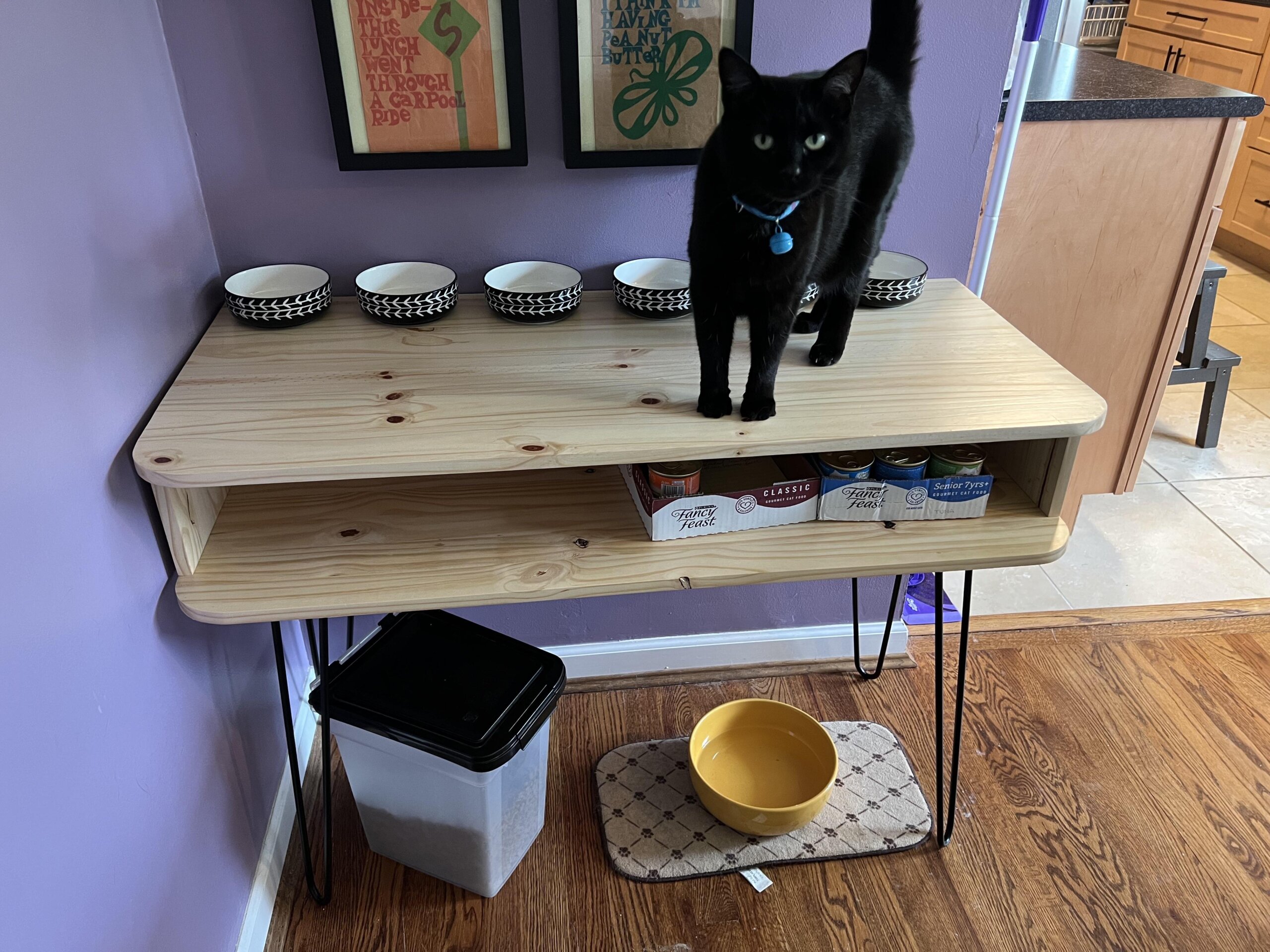 An application scenario or product detail of cat feeder table - Image 13