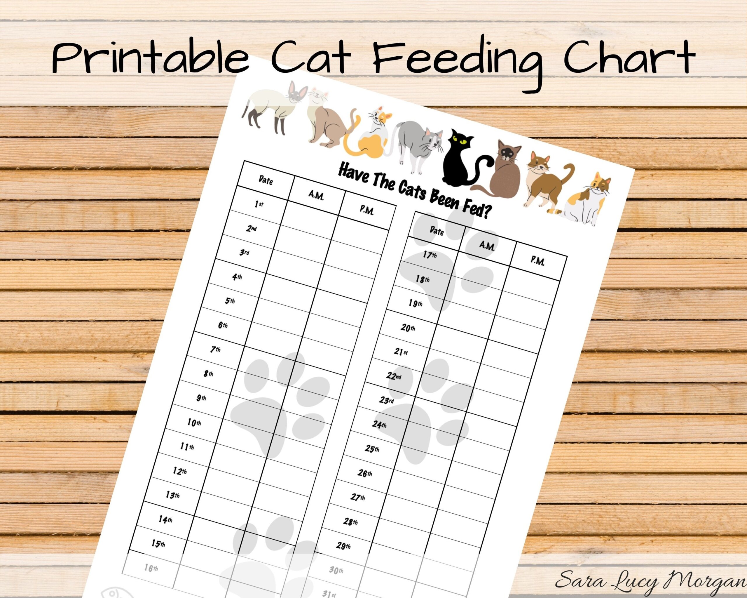 An application scenario or product detail of cat feeding schedule - Image 6