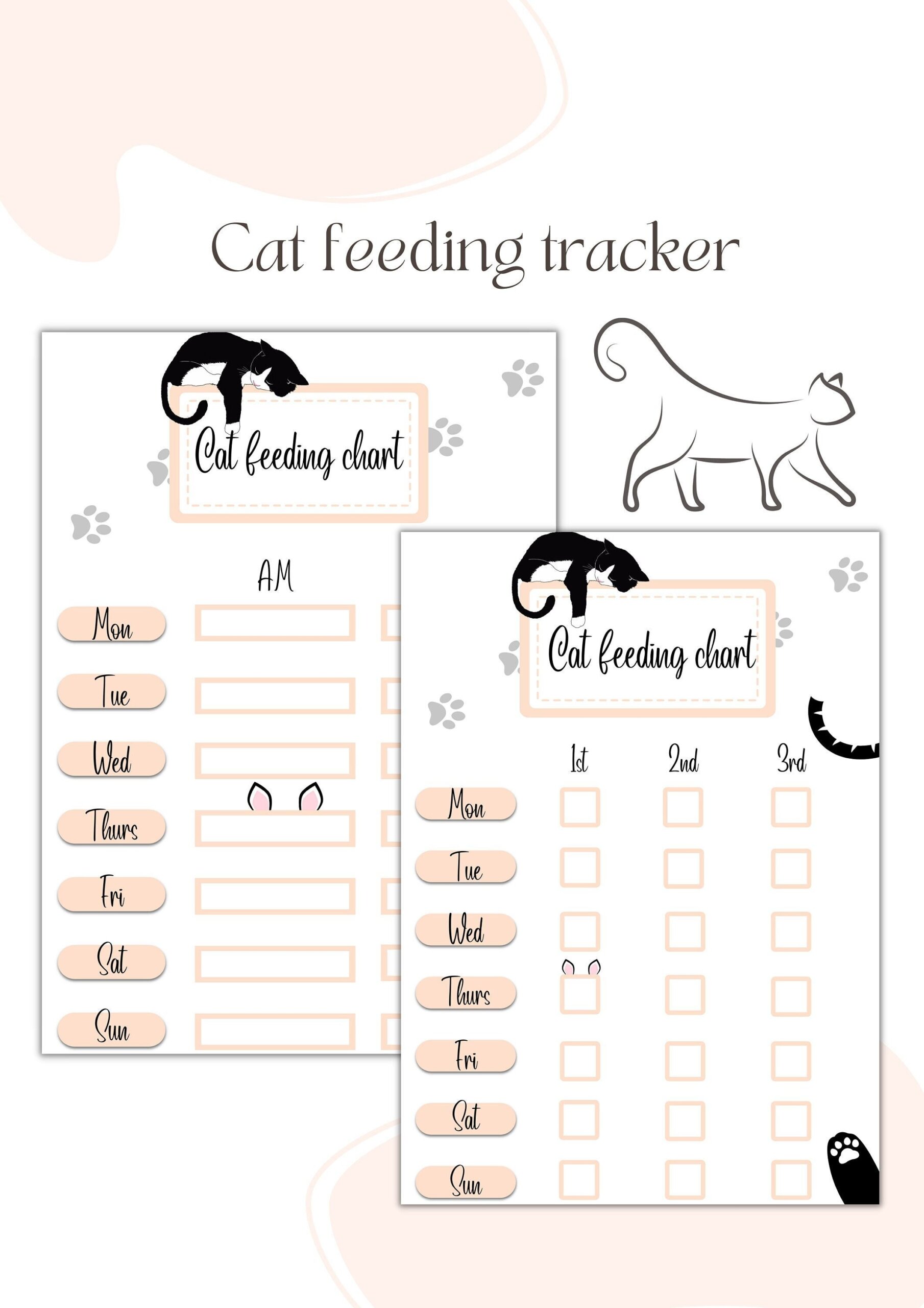An application scenario or product detail of cat feeding schedule - Image 13