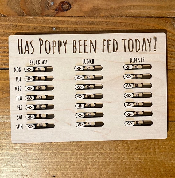 An application scenario or product detail of cat feeding schedule - Image 20
