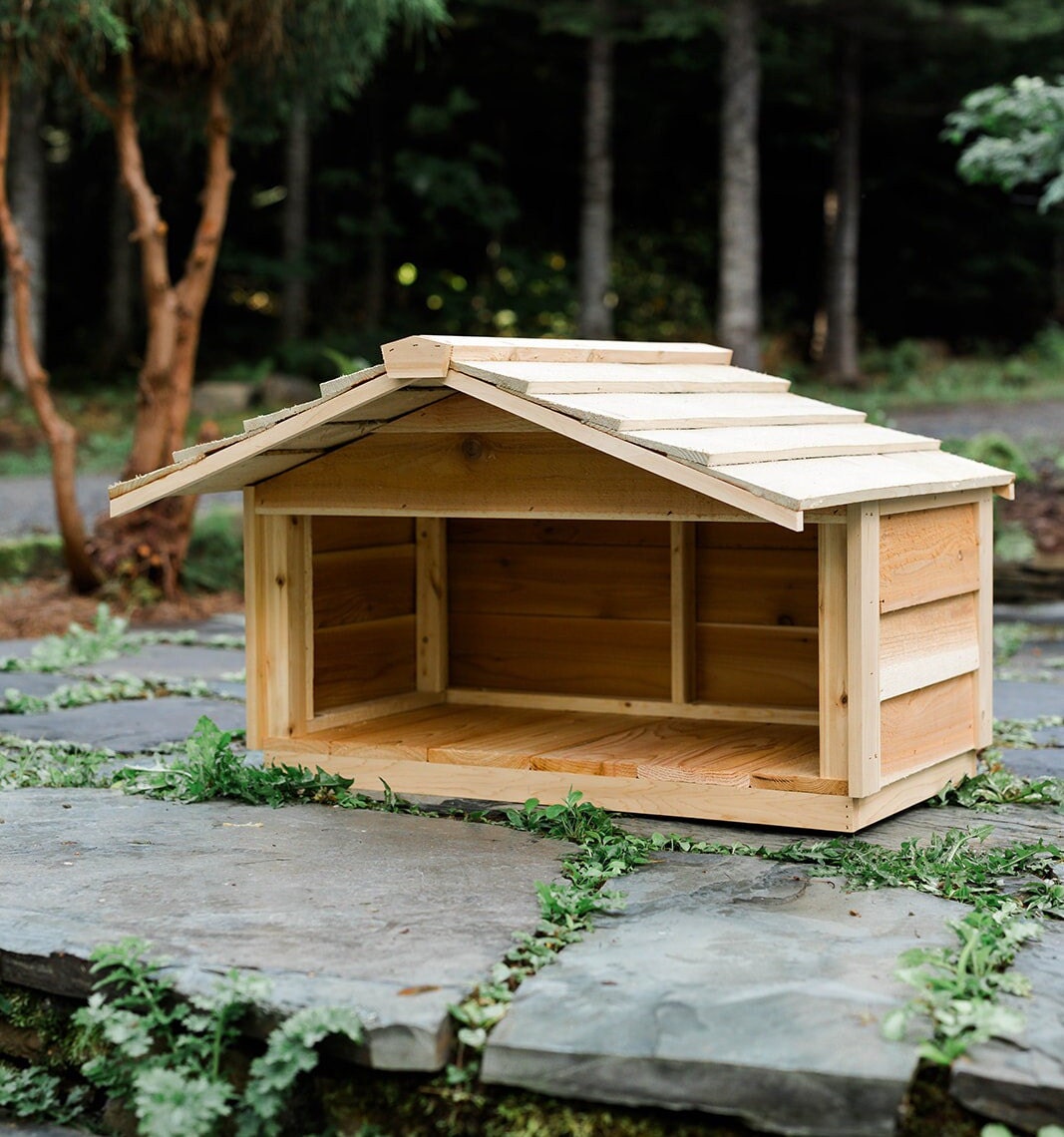 An application scenario or product detail of cat feeding station outdoor - Image 2