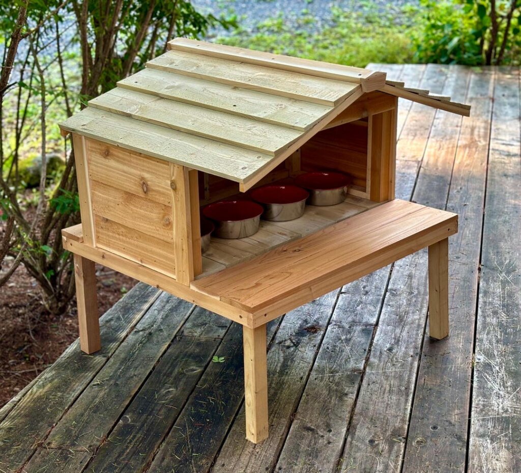Featured image for the cat feeding station outdoor guide